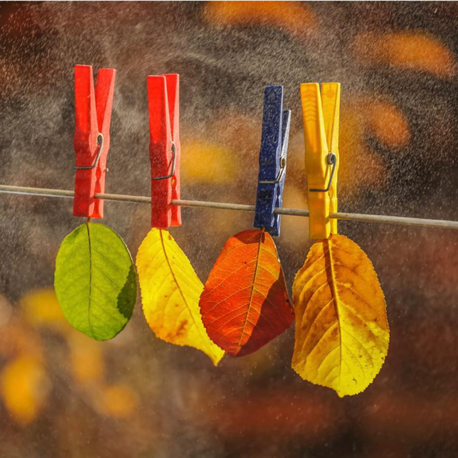 “AUTUMN BLUES”